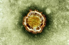 38 people dead from the 'new SARS' - and we're not sure how it spreads