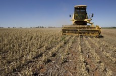 UN says global food prices hit a record high in February