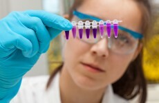 Ireland a "rising star" for scientific research