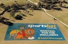 'Rooting for the Wallabies' ad causes controversy in Oz ahead of first Test