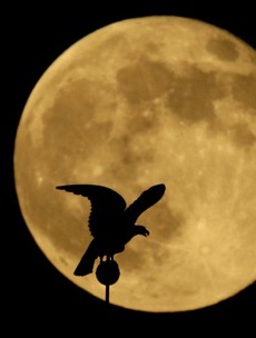 23 spectacular images of the weekend’s Supermoon