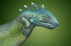 This incredible hand art will blow your mind