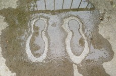 Everything you need to know RIGHT NOW about NeverWet