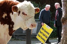 Top readers' comments of the week