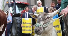 PHOTOS: Farmers mount Kildare St protest over CAP reforms