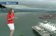 Weather forecaster terrified by on-camera giant spider