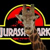 Giraffe chase video goes viral, inspires Jurassic Park remix