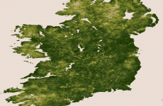 New maps show where plant life thrives on Earth