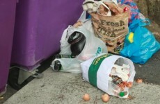 Video shows scale of “unbearable” illegal rubbish dumping in Dublin