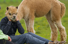 These 15 photos will hurt your brain