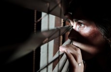 New committee report will ‘lift the lid’ on domestic abuse