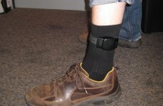 Poll: Should electronic tagging of robbers and burglars be introduced?