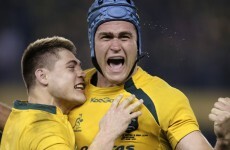 Wallabies captain James Horwill cleared of stamping charge