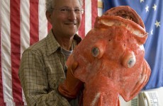 Meet the 200-year-old fish caught in the US