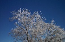 The Big Chill returns to Irish weather