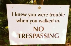 The Dredge: Here's how Taylor Swift stops trespassers