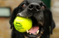 It's Sunday so here are 13 of our favourite images from the past 7 days