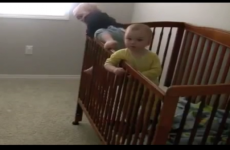 These babies are smarter than you, and they know it