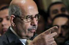 Egypt: Liberal opposition leader Mohamed ElBaradei picked as new PM