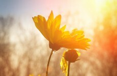 Good news: sunny weather to last ALL week