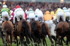 A Bluffer’s Guide to… the Cheltenham Festival