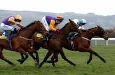 The Magnificent Seven: Cheltenham champions