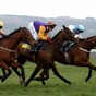 The Magnificent Seven: Cheltenham champions
