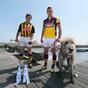 Wexford announce starting XV for U21 Leinster hurling final