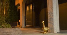 Two golden geese appear outside old Anglo Irish Bank HQ