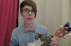 Amazingly cute nerdy love song, with help from a kitten