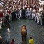 In pictures: The third Pamplona bull run with protests but minus gorings