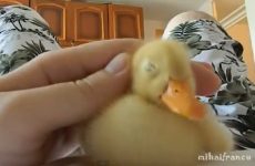 Bet you wish you were going to bed with this guy