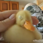Bet you wish you were going to bed with this guy