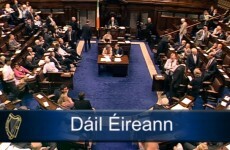 These are the 31 TDs who voted against the abortion bill