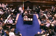 Dáil votes against first abortion bill suicide amendment