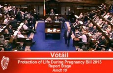 Amendment on fatal foetal abnormality rejected