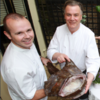 Two top Irish chefs encourage others to ‘tear up’ TripAdvisor award certs