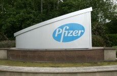 Pfizer to create up to 250 construction jobs