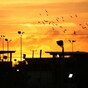 September 11 suspects likely to be tried at Guantanamo