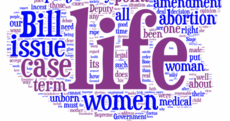 The abortion debate: the words that mattered