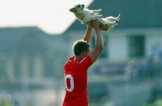 17 of the best images from Saturday's GAA games