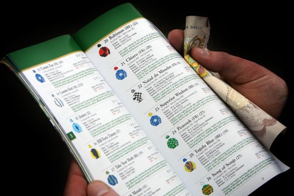 Horse Racing For Dummies The42