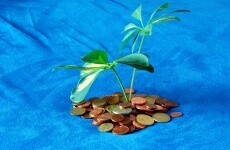 Poll: Should Irish tax exiles be rewarded if they give money to charity?