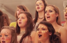 The Lion King goes to the Gaeltacht