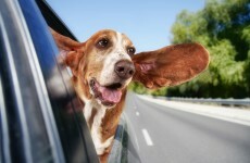 The Burning Question*: Air con or window down in the car?