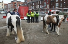 Man due in court over Smithfield horse fair attack