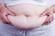 Police in Japan bust overweight prostitution service