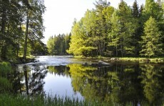 7 reasons we want to be Swedish