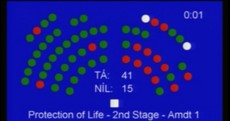Here's how the Seanad voted on the abortion legislation