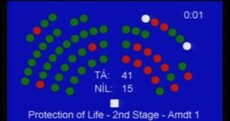 Here's how the Seanad voted on the abortion legislation